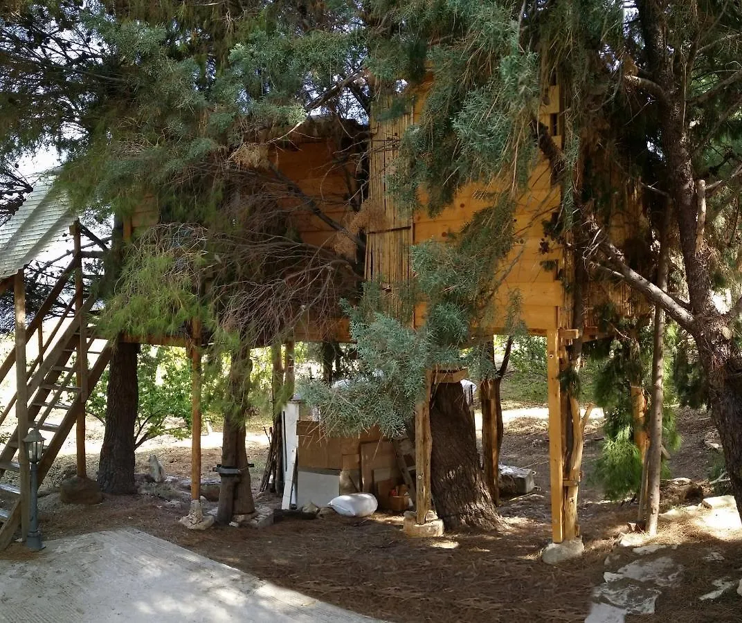Casetta Sull'Albero, Girasole Castellammare del Golfo İtalya