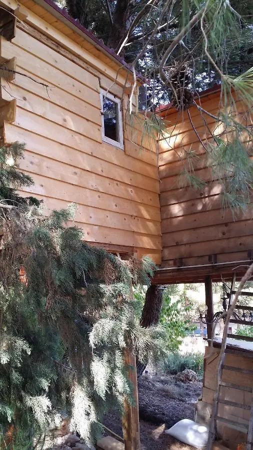 Lodge Casetta Sull'Albero, Girasole Castellammare del Golfo Italy