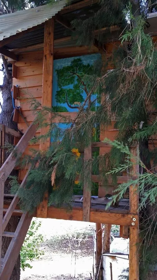 Lodge Casetta Sull'Albero, Girasole Castellammare del Golfo